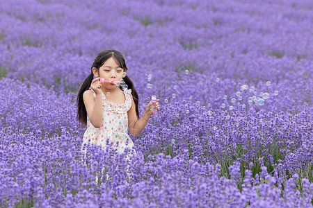 小女孩在薰衣草花丛中吹泡泡高清图片