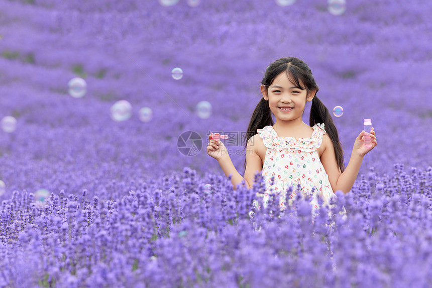 小女孩在薰衣草花田里吹泡泡图片
