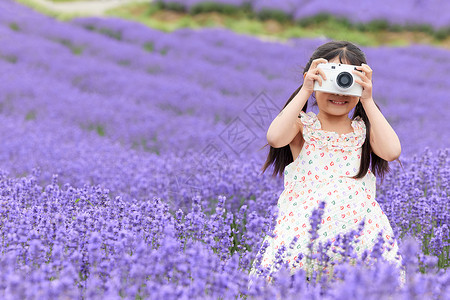 可爱的矢量花草可爱小女孩在薰衣草花园拍照背景