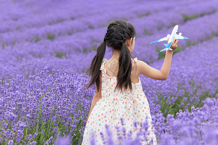 夏季旅游孩子站在薰衣草花丛中玩飞机模型的女孩背景