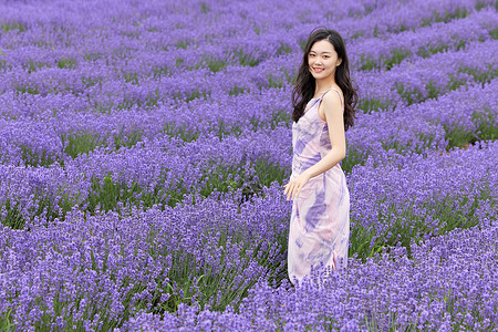 优雅地优雅女性站在薰衣草花丛中背景