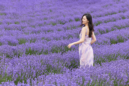 美丽的紫色花站在薰衣草花田中的美丽女性背景