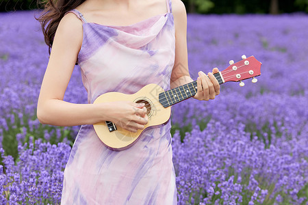紫色吉他站在薰衣草花海弹奏尤克里里特写背景