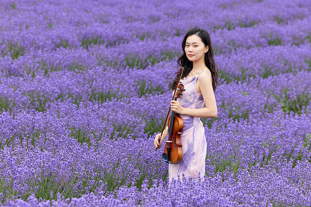 在薰衣草花海里演奏小提琴的女性高清图片