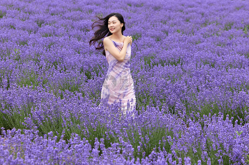 女性在薰衣草花田奔跑图片