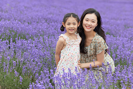 旅行小孩薰衣草花田里的母女背景