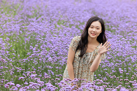 马鞭草花丛中的美女打招呼图片