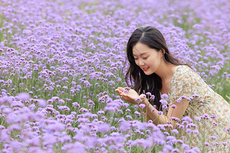紫色包裙马鞭草花丛中的美女背景