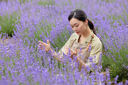 虚拟花园培育薰衣草的女性园丁虚拟操作背景