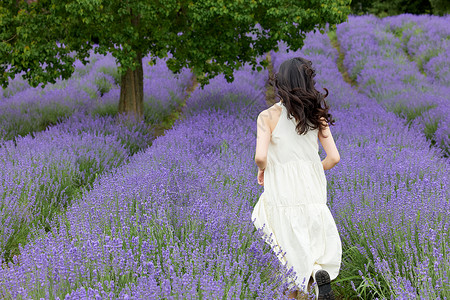 炫彩紫色花薰衣草花丛奔跑的女性背影背景