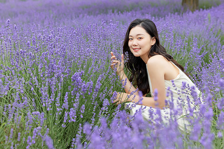 在薰衣草花田观赏的女性高清图片