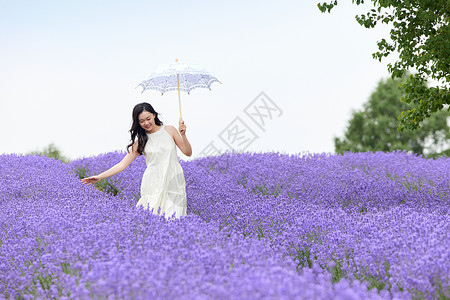 在薰衣草花田散步的美丽女性背景图片