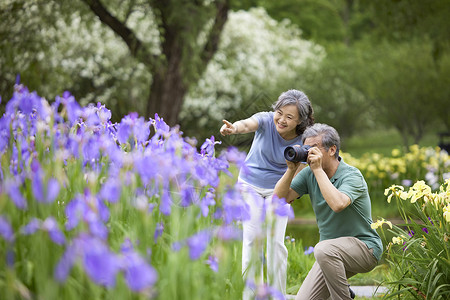 紫金花园老年夫妇旅游拍照背景