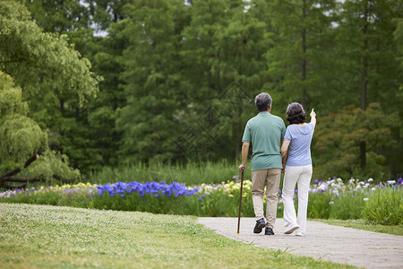拐杖背影老年夫妇公园散步背影背景