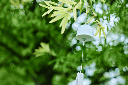 夏日装饰绿植悬挂在绿植上的风铃背景