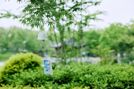 夏日装饰绿植悬挂于绿植上的风铃背景