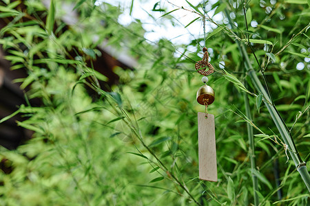 植物标签装饰竹子上挂着的风铃背景