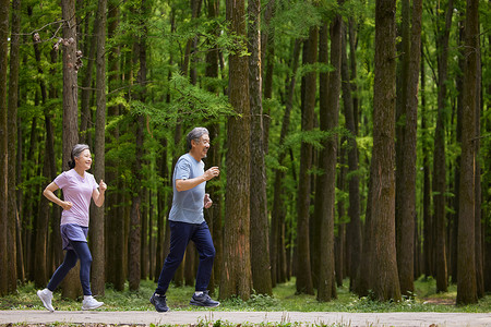 树林里老人们慢跑锻炼背景图片