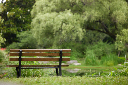 板凳背景森林公园里的长板凳背景
