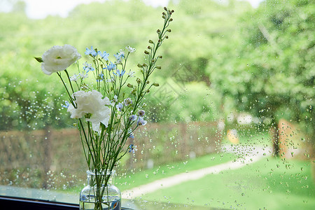 窗边风雨后的窗边花朵背景