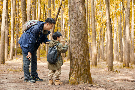 旅行登山男孩站在树边观察的父子背景