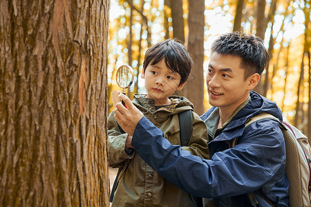 野外探索用放大镜观察树皮的父子背景