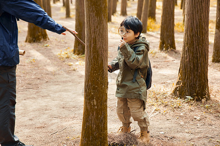 树边男孩站在树边观察的孩子背景