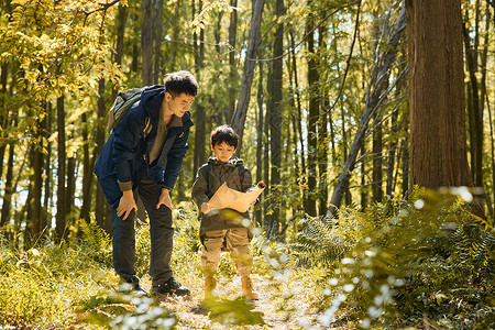 体验差父子俩在原始森林寻找路线背景