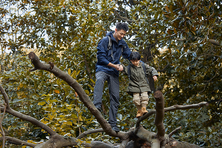 户外探险爬树的父子背景图片