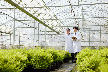 参观实验室科研人员参观种植园基地背景