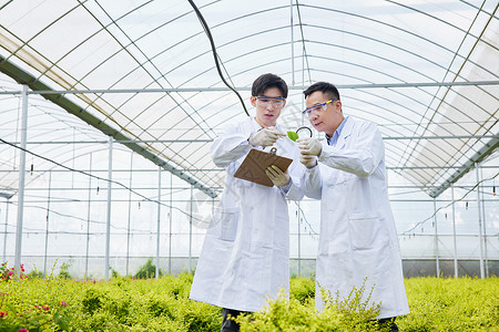 农业项目计划书科研人员观察记录植物叶片背景