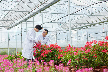 农业项目计划书细心培育照顾花朵的科研员背景