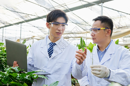 俩位科研员观察绿植的嫩芽图片