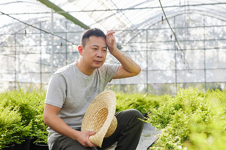 农民在种植园里擦汗扇风图片