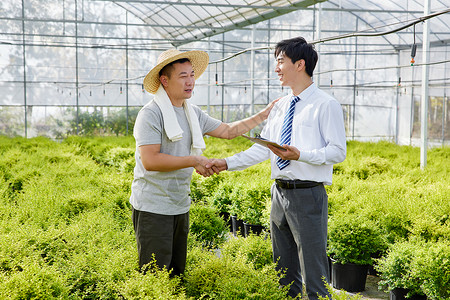 收购要约植物种植园里达成交易的农民商人背景