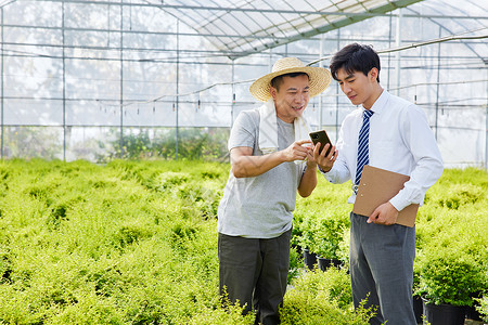 装车农民向商人介绍盆栽背景