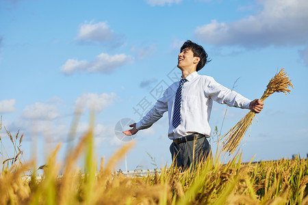 手拿麦穗拥抱大自然的科研人员图片