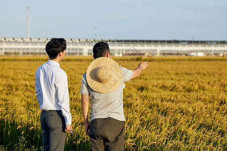 麦田里农民和科研员探讨农业知识图片