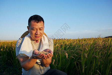 农民手捧麦粒背景图片