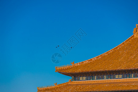 初冬晴朗天空下的北京故宫背景图片