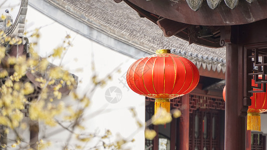 中国年素材冬天新年腊梅和红灯笼背景
