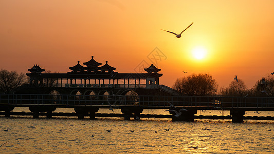 无锡鼋头渚太湖仙岛日落背景图片
