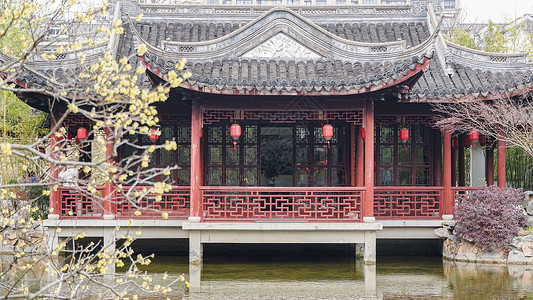 春节灯笼祥云与梅花新年腊梅花映衬下的古建筑和灯笼背景