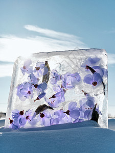 东北冰雕哈尔滨冬季冰雕鲜花背景