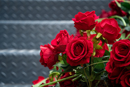 红玫瑰束情人节玫瑰花背景