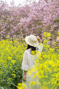 春天踏青赏花背景图片