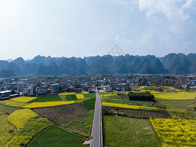 航拍贵州万峰林油菜花风光背景图片