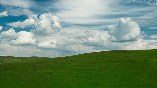 内蒙古高山牧场夏季风光背景图片