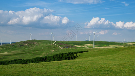 内蒙古高山牧场夏季风光背景图片