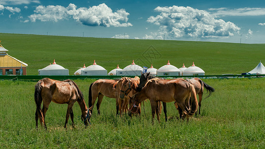 高山大河内蒙古夏季草原马匹蓝天白云背景